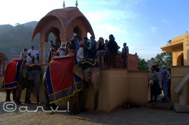 Hotel O Apple Jaipur Eksteriør bilde